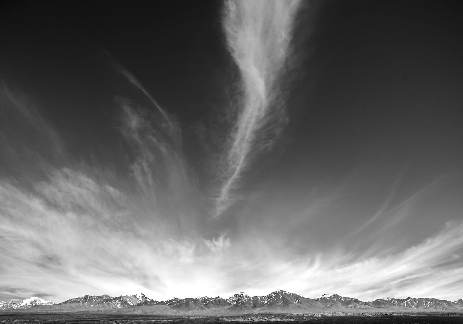 100x70 (6)